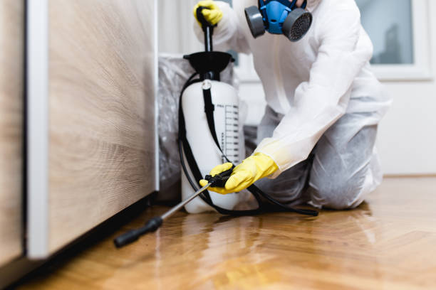 Reliable Spencerport, NY Pest Control Solutions