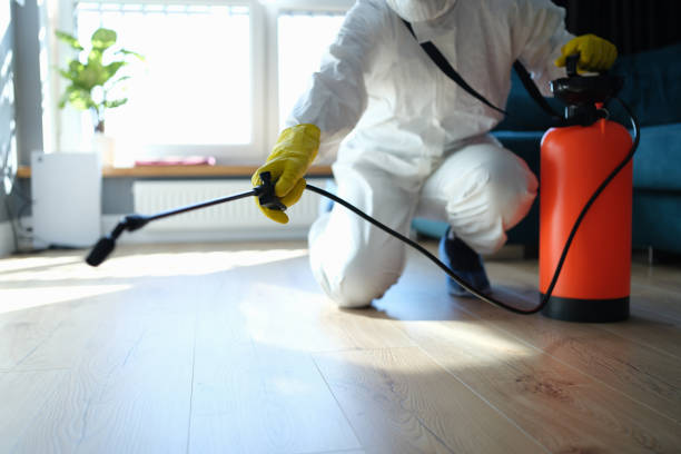 Best Flea Control Services  in Spencerport, NY