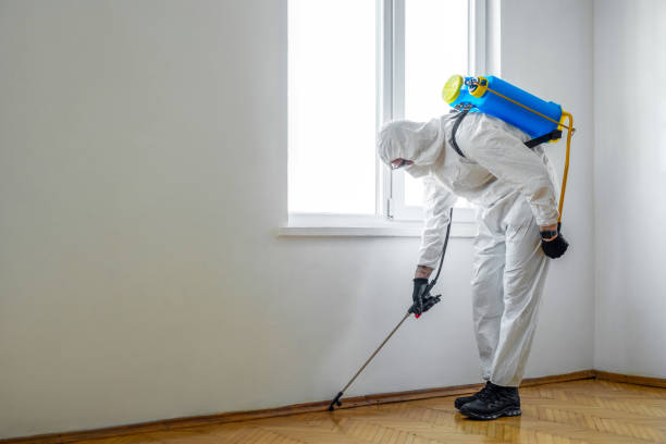 Best Exterminator Services  in Spencerport, NY