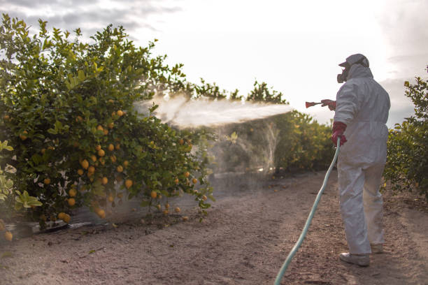 Best Insect Control  in Spencerport, NY