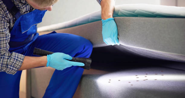 Best Rat Extermination Near Me  in Spencerport, NY